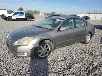 Salvage Nissan Maxima