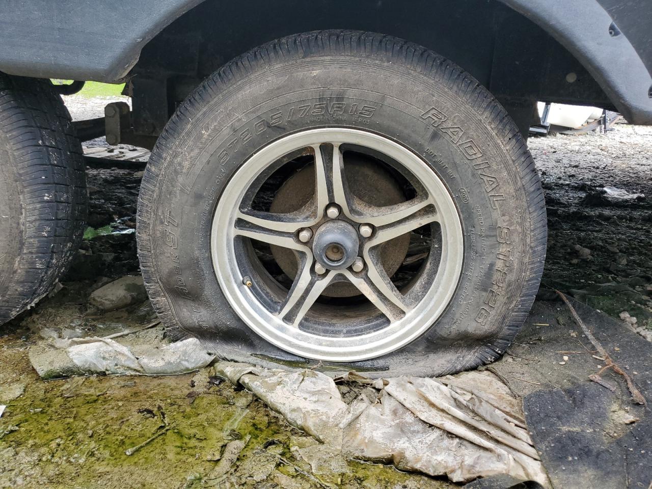 Wildwood East West Image 5