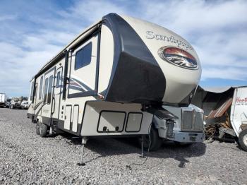  Salvage Wildwood Sandpiper