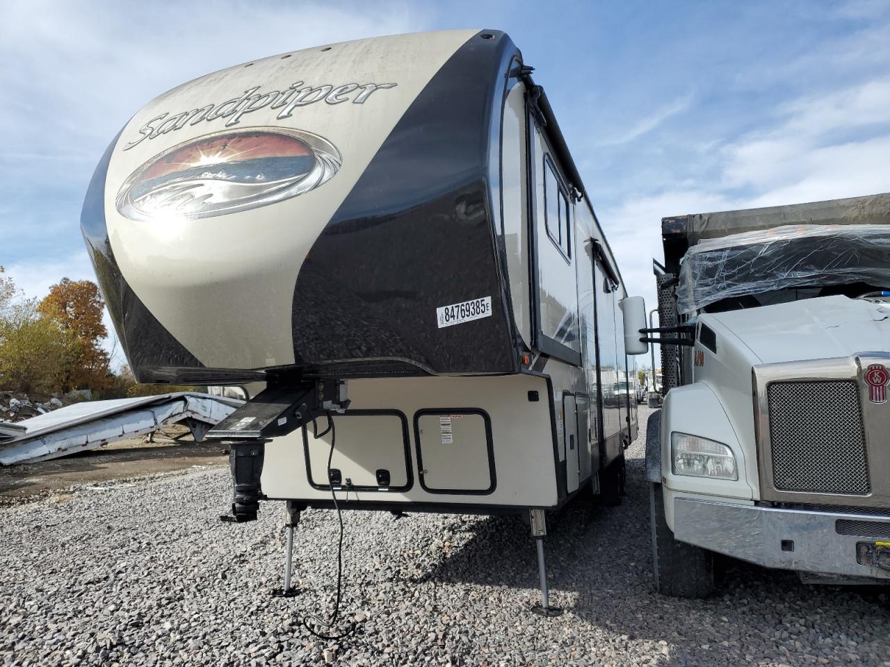 Wildwood Sandpiper Image 3