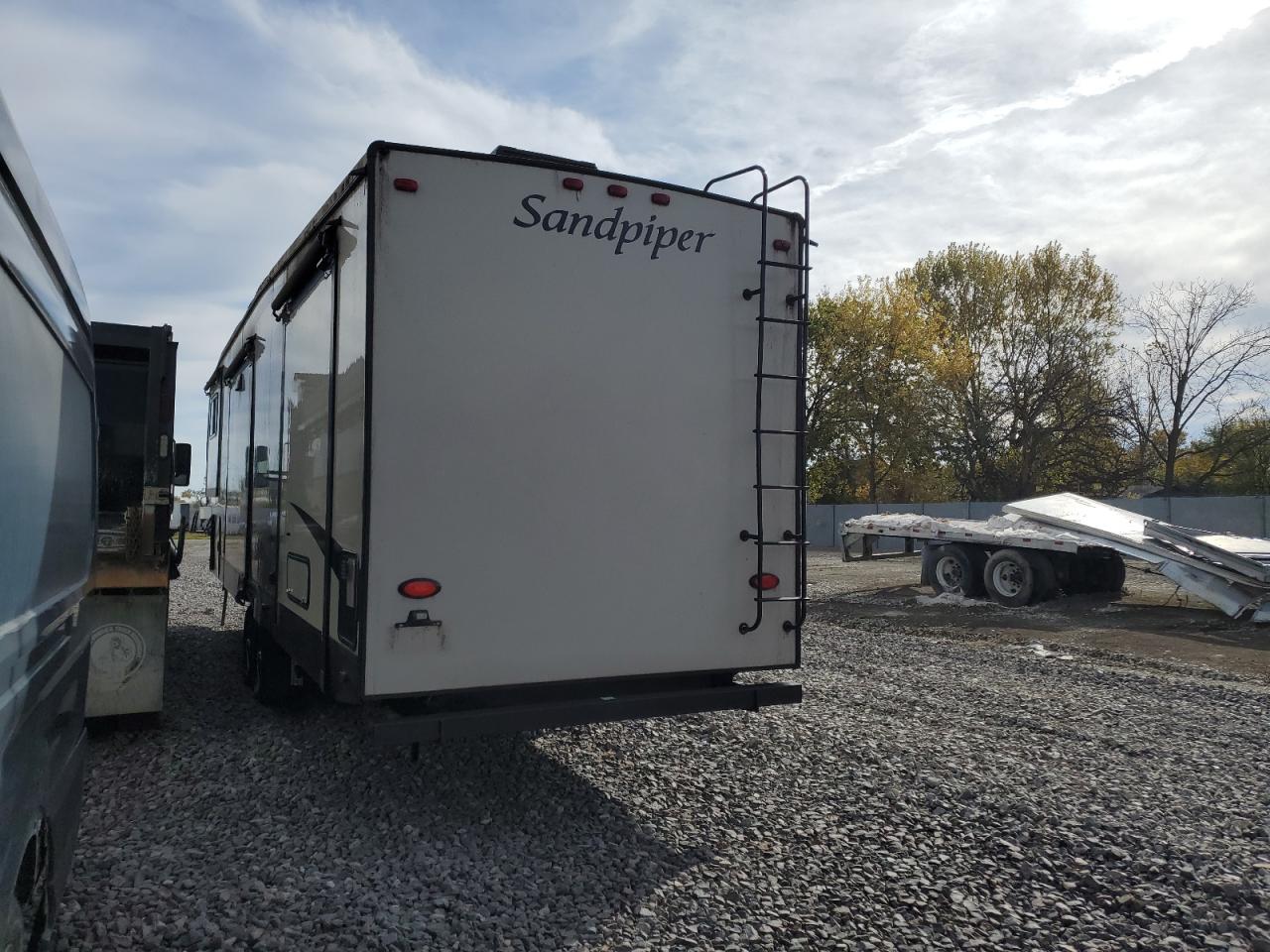 Wildwood Sandpiper Image 4