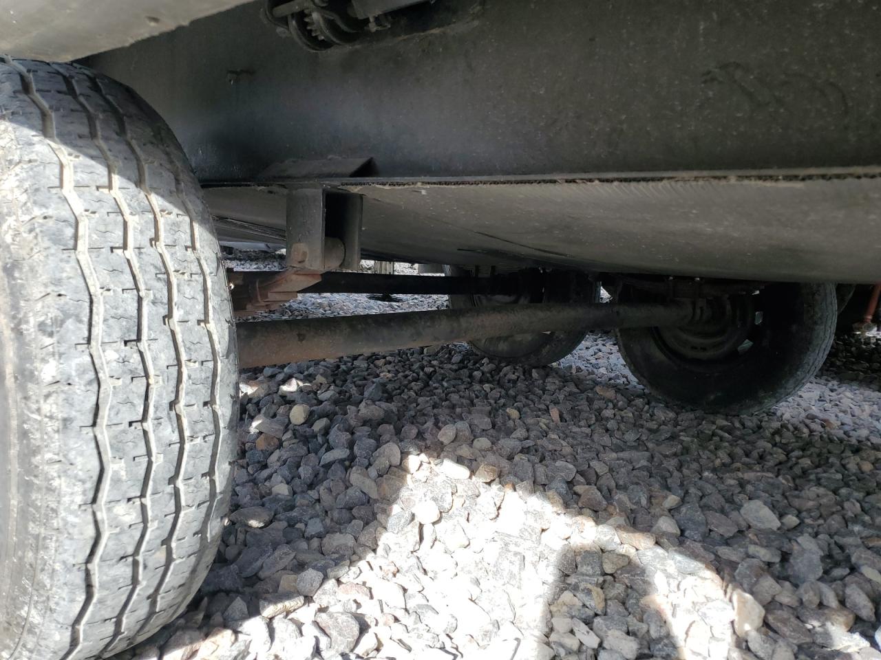 Wildwood Sandpiper Image 2