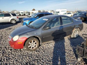  Salvage Dodge Neon