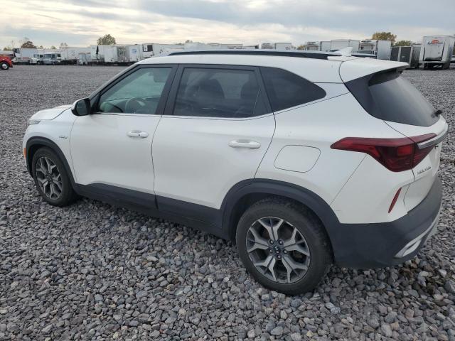 Kia Seltos Ex Image 2