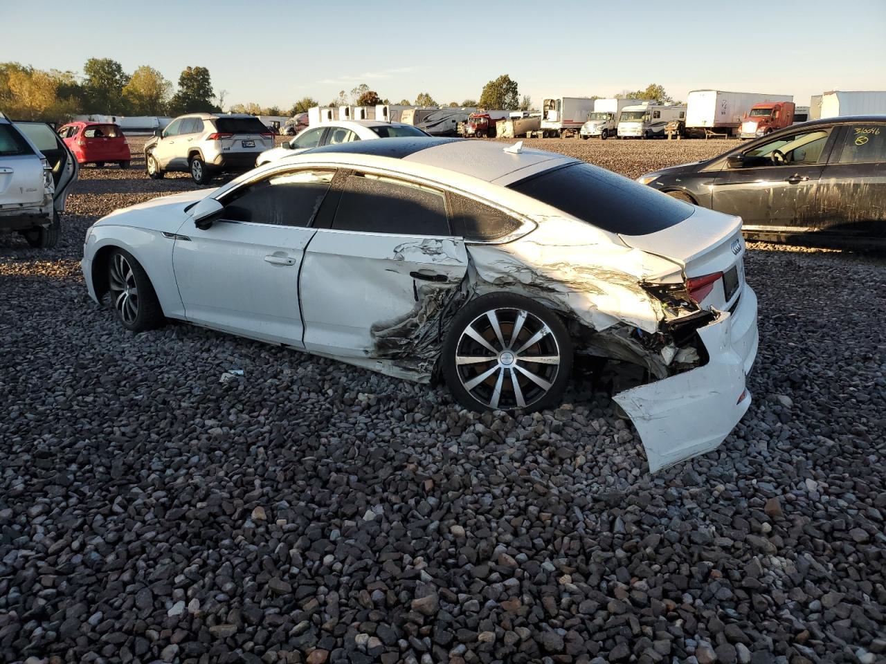 Audi A5 Premium Plus S-line Image 8