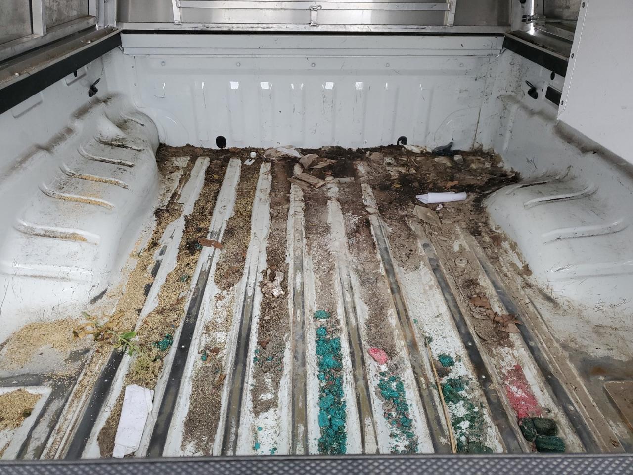 Nissan Frontier S Image 9