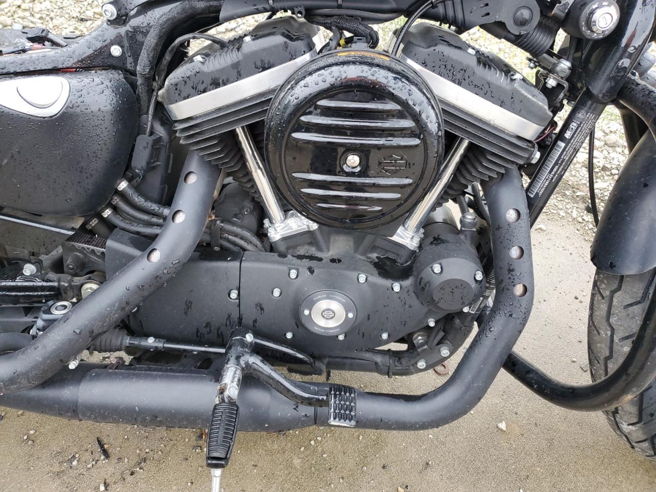 Harley-Davidson Xl883 N N Image 6