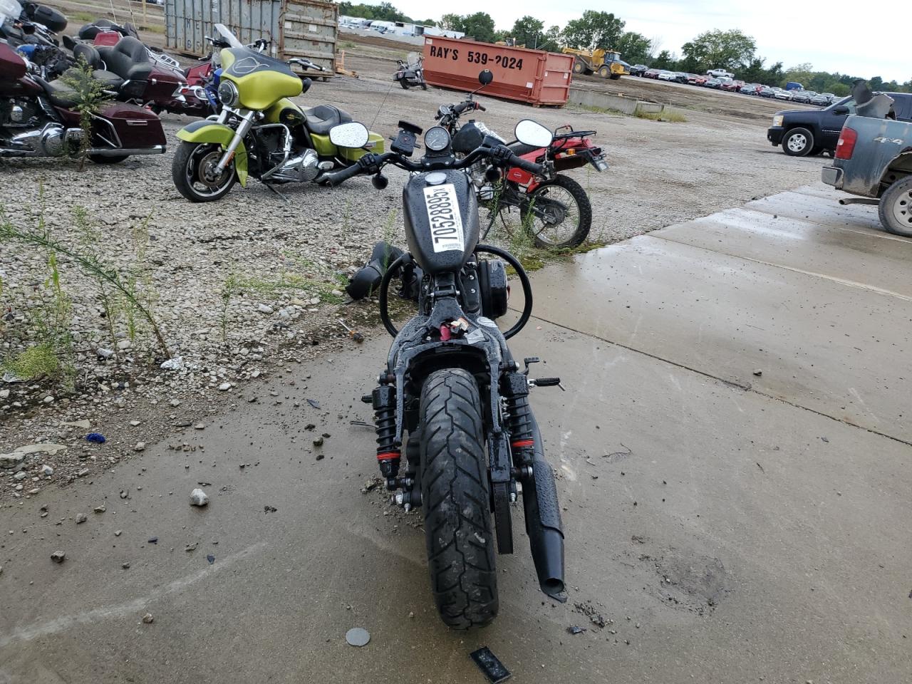 Harley-Davidson Xl883 N N Image 3