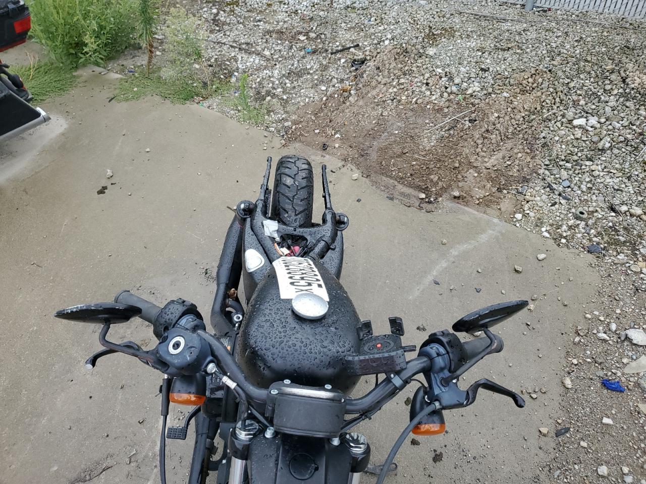 Harley-Davidson Xl883 N N Image 4