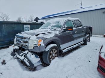  Salvage Ford F-150