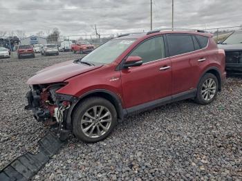  Salvage Toyota RAV4