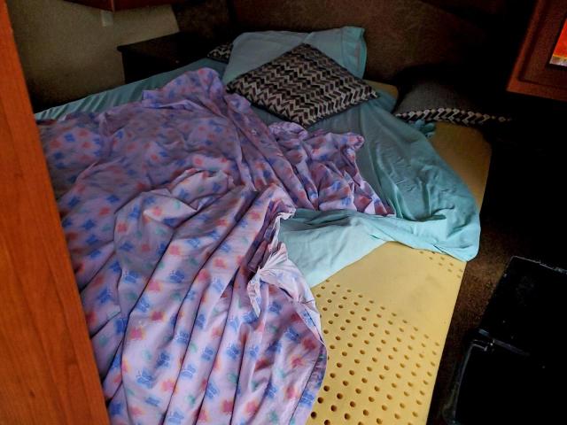 Dutchmen Lite Image 6