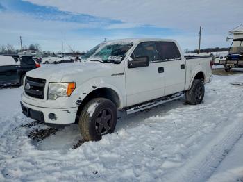  Salvage Ford F-150