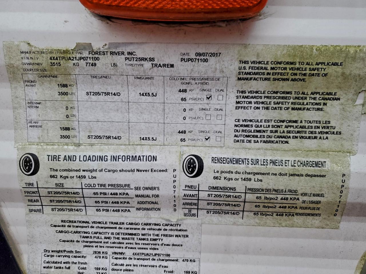 Other Forest Riv Image 9